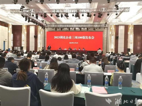 卓尔控股领航湖北服务业百强榜 企业管理咨询视角下的卓越之道