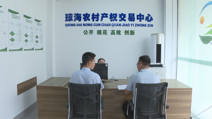 琼海市农村产权交易服务中心揭牌成立，控股公司助力乡村振兴